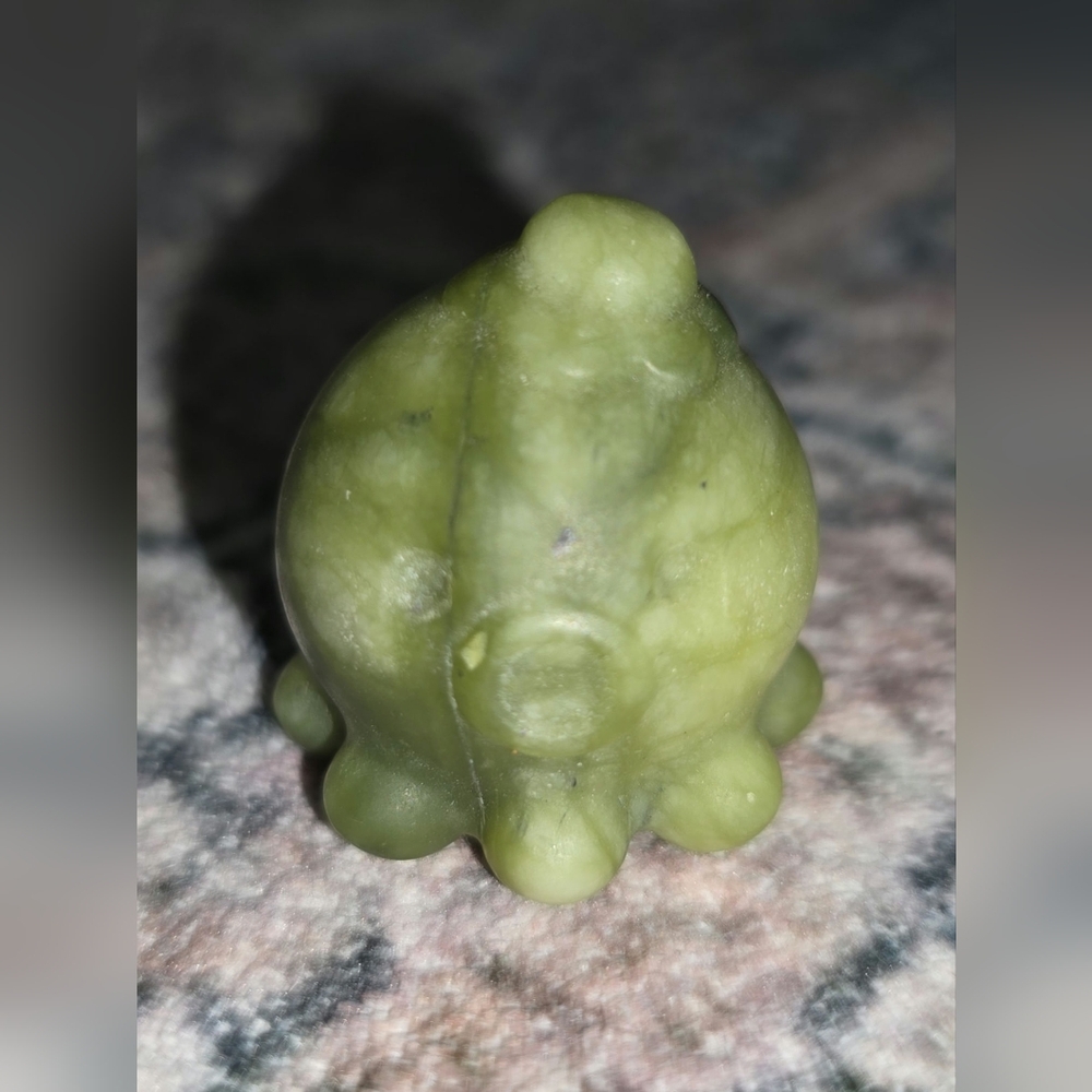 Serpentinite Octopus 💚🐙 - Picture 2 of 2